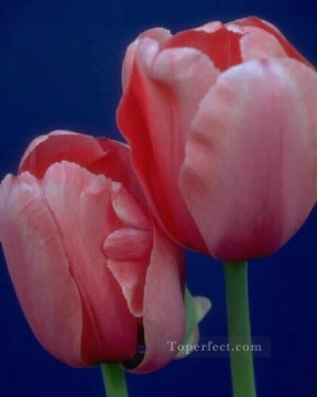 Photorealism Flowers Painting - xsh012cB realistic photographic flower